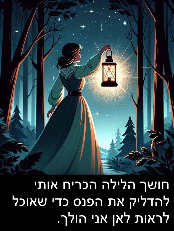 שאוכל: חושך הלילה הכריח אותי להדליק את הפנס כדי שאוכל לראות לאן אני הולך.