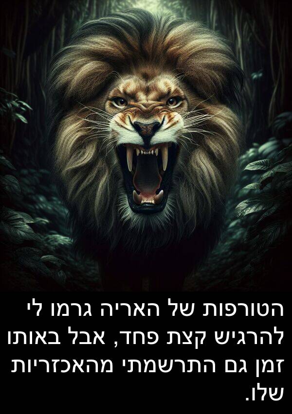 מהאכזריות: הטורפות של האריה גרמו לי להרגיש קצת פחד, אבל באותו זמן גם התרשמתי מהאכזריות שלו.
