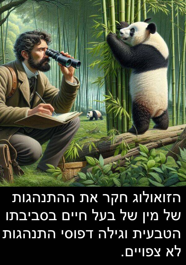 צפויים: הזואולוג חקר את ההתנהגות של מין של בעל חיים בסביבתו הטבעית וגילה דפוסי התנהגות לא צפויים.