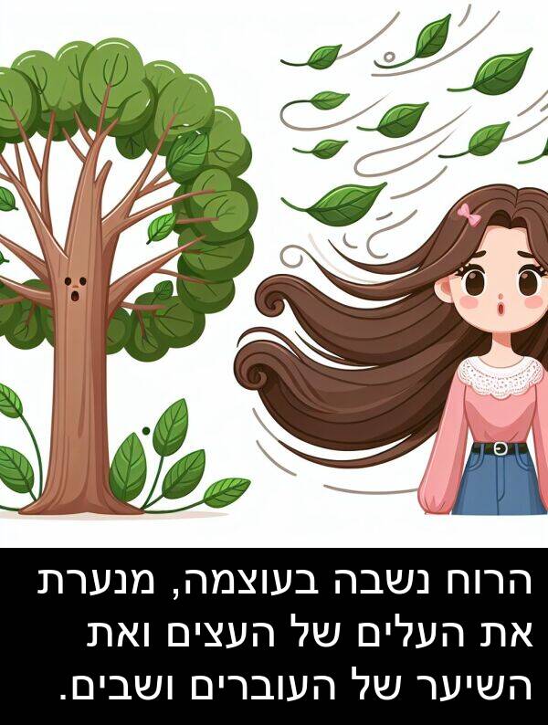 ואת: הרוח נשבה בעוצמה, מנערת את העלים של העצים ואת השיער של העוברים ושבים.