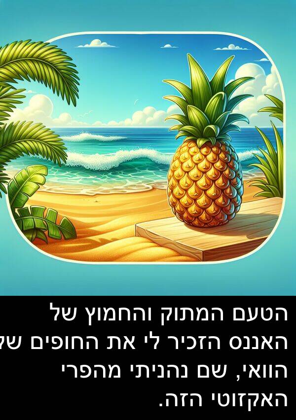 נהניתי: הטעם המתוק והחמוץ של האננס הזכיר לי את החופים של הוואי, שם נהניתי מהפרי האקזוטי הזה.