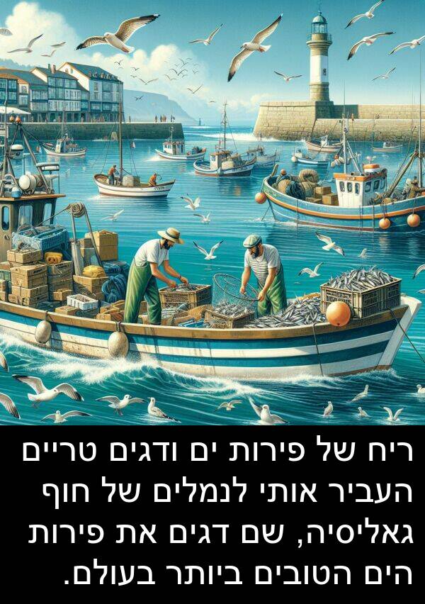 טריים: ריח של פירות ים ודגים טריים העביר אותי לנמלים של חוף גאליסיה, שם דגים את פירות הים הטובים ביותר בעולם.