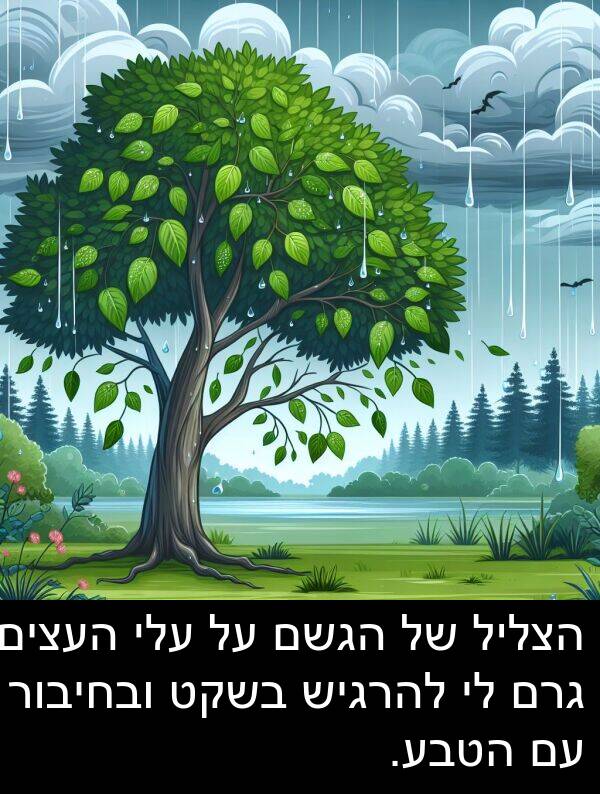 גרם: הצליל של הגשם על עלי העצים גרם לי להרגיש בשקט ובחיבור עם הטבע.