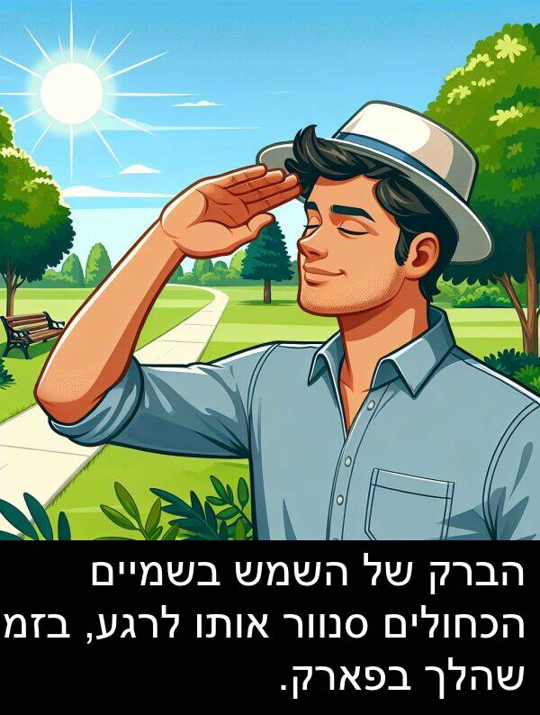 סנוור: הברק של השמש בשמיים הכחולים סנוור אותו לרגע, בזמן שהלך בפארק.