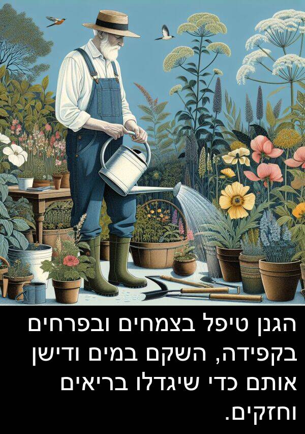 טיפל: הגנן טיפל בצמחים ובפרחים בקפידה, השקם במים ודישן אותם כדי שיגדלו בריאים וחזקים.