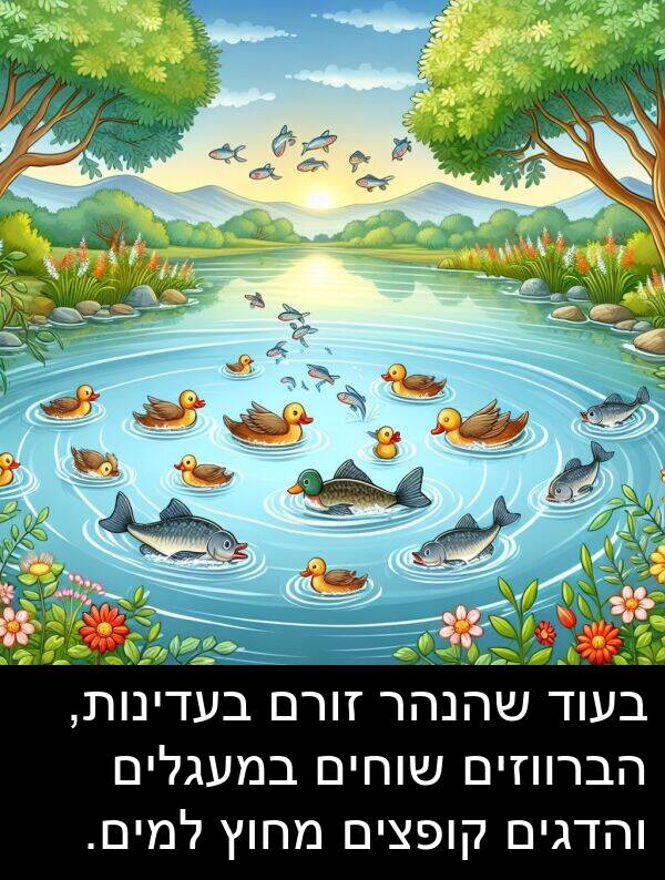 קופצים: בעוד שהנהר זורם בעדינות, הברווזים שוחים במעגלים והדגים קופצים מחוץ למים.