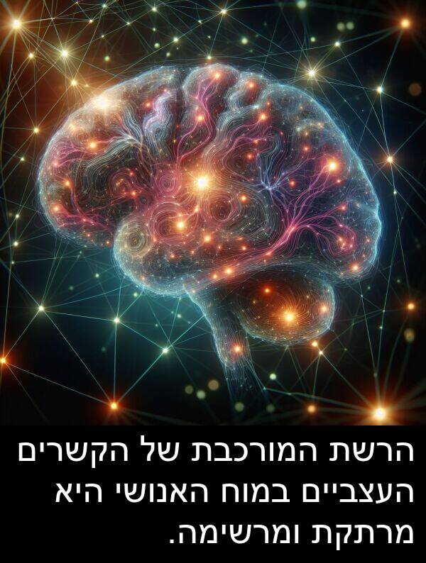 מרתקת: הרשת המורכבת של הקשרים העצביים במוח האנושי היא מרתקת ומרשימה.