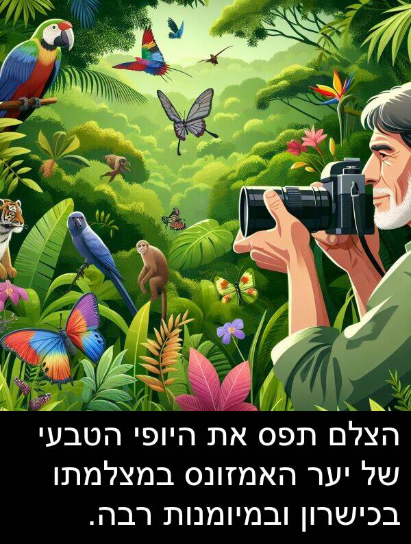 תפס: הצלם תפס את היופי הטבעי של יער האמזונס במצלמתו בכישרון ובמיומנות רבה.