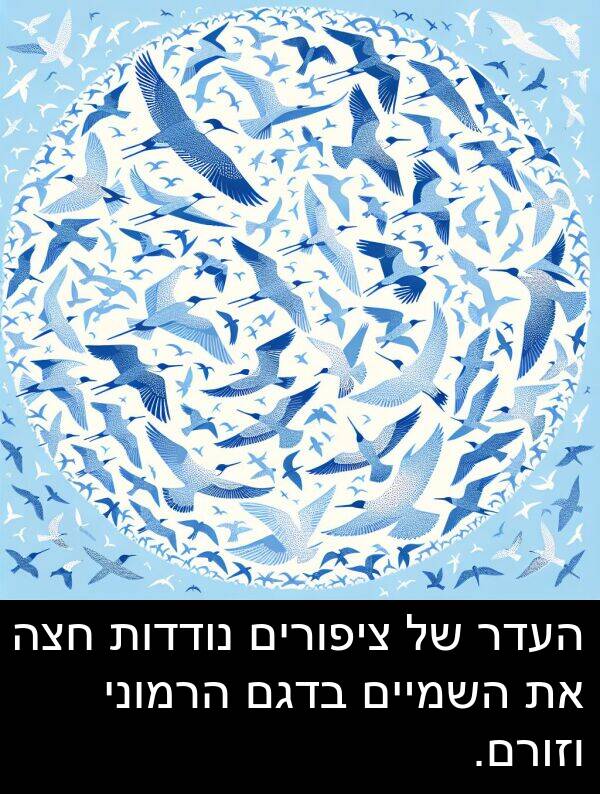 ציפורים: העדר של ציפורים נודדות חצה את השמיים בדגם הרמוני וזורם.