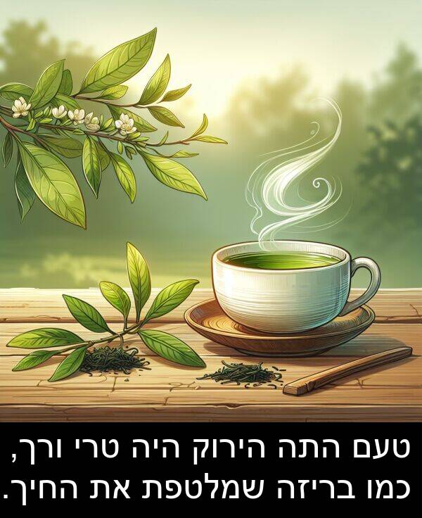 טעם: טעם התה הירוק היה טרי ורך, כמו בריזה שמלטפת את החיך.