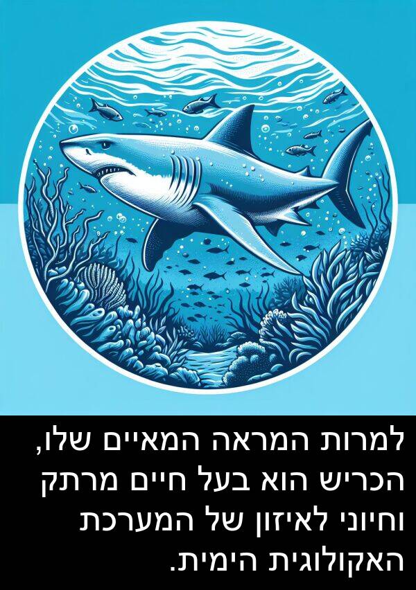 מרתק: למרות המראה המאיים שלו, הכריש הוא בעל חיים מרתק וחיוני לאיזון של המערכת האקולוגית הימית.