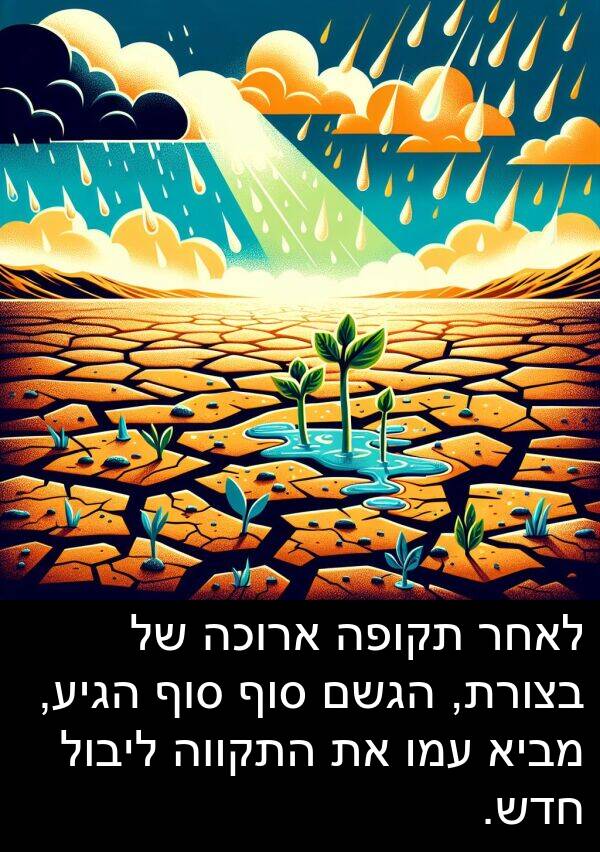 מביא: לאחר תקופה ארוכה של בצורת, הגשם סוף סוף הגיע, מביא עמו את התקווה ליבול חדש.