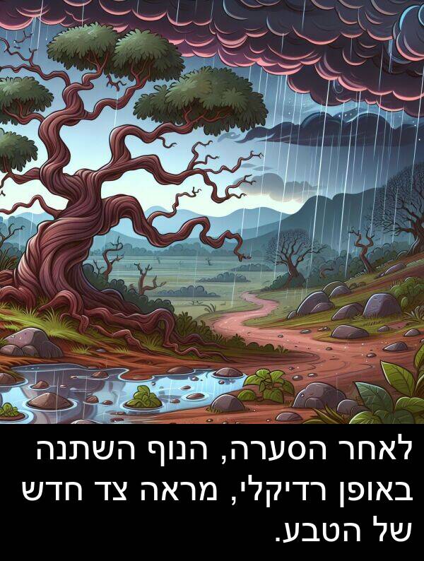 באופן: לאחר הסערה, הנוף השתנה באופן רדיקלי, מראה צד חדש של הטבע.