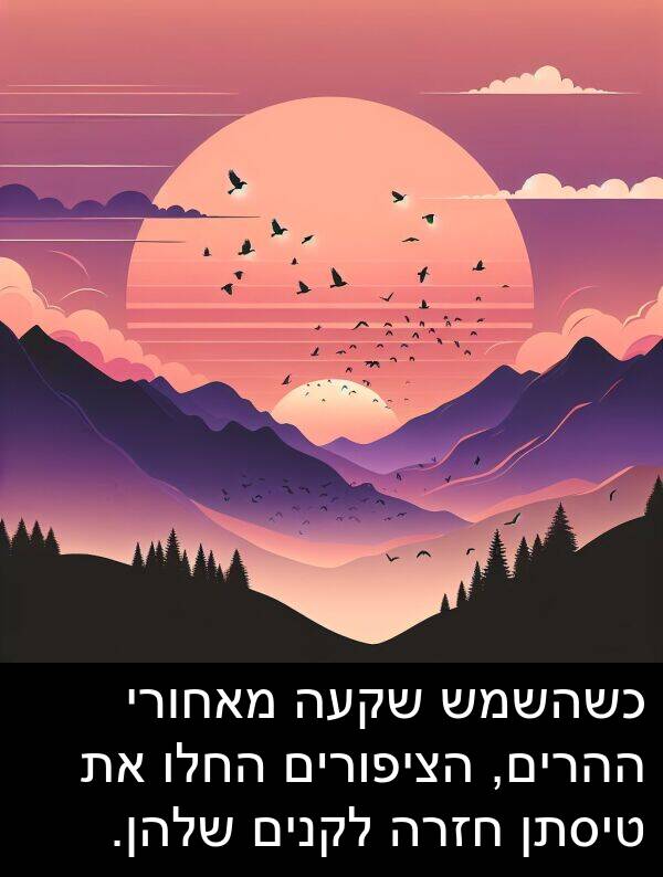 טיסתן: כשהשמש שקעה מאחורי ההרים, הציפורים החלו את טיסתן חזרה לקנים שלהן.
