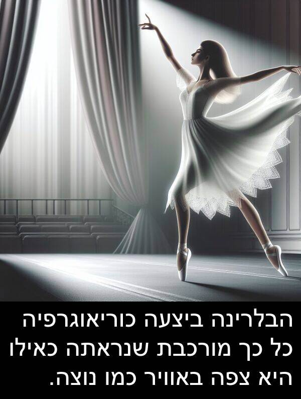 באוויר: הבלרינה ביצעה כוריאוגרפיה כל כך מורכבת שנראתה כאילו היא צפה באוויר כמו נוצה.