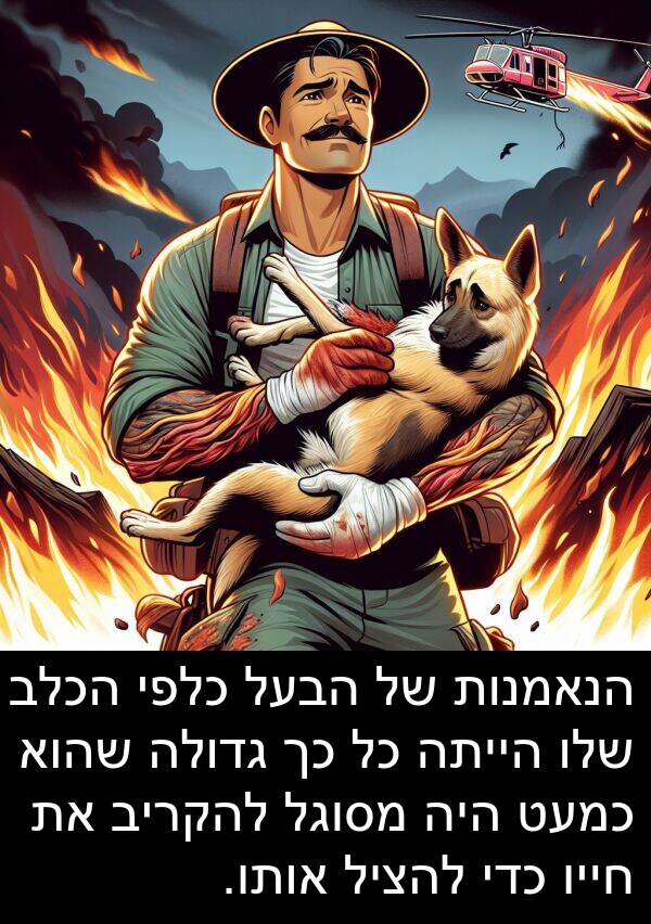 גדולה: הנאמנות של הבעל כלפי הכלב שלו הייתה כל כך גדולה שהוא כמעט היה מסוגל להקריב את חייו כדי להציל אותו.