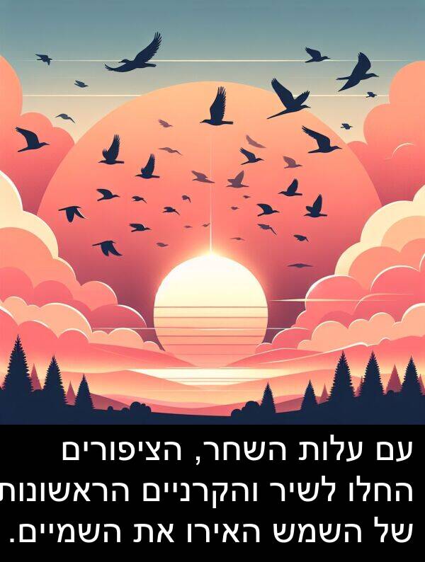 עלות: עם עלות השחר, הציפורים החלו לשיר והקרניים הראשונות של השמש האירו את השמיים.