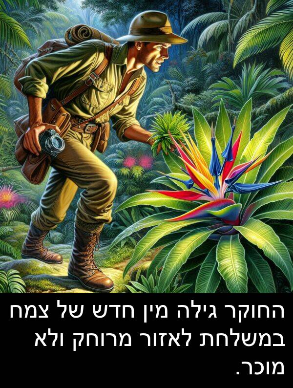 צמח: החוקר גילה מין חדש של צמח במשלחת לאזור מרוחק ולא מוכר.