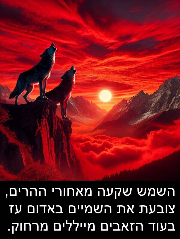 צובעת: השמש שקעה מאחורי ההרים, צובעת את השמיים באדום עז בעוד הזאבים מייללים מרחוק.