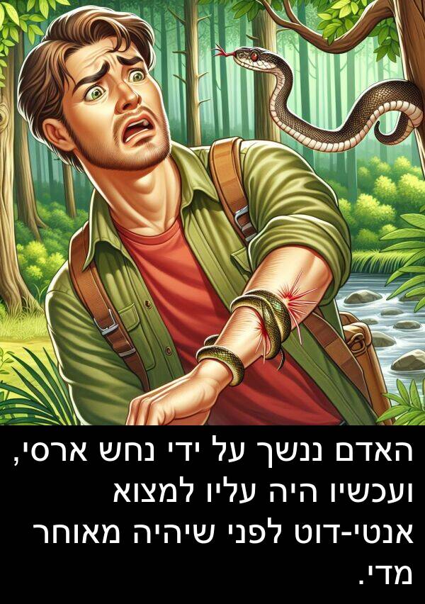 מדי: האדם ננשך על ידי נחש ארסי, ועכשיו היה עליו למצוא אנטי-דוט לפני שיהיה מאוחר מדי.