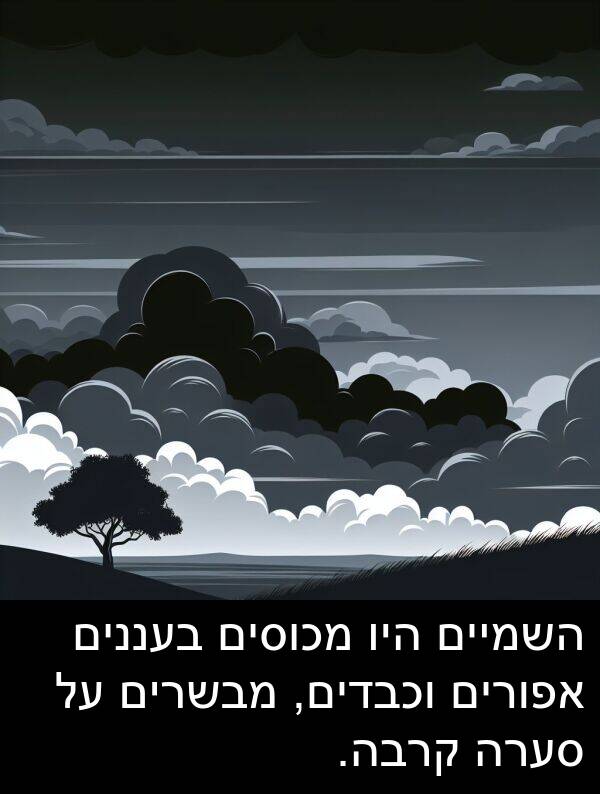אפורים: השמיים היו מכוסים בעננים אפורים וכבדים, מבשרים על סערה קרבה.