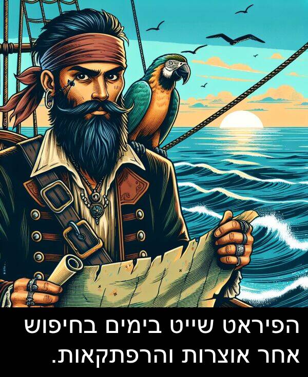 אחר: הפיראט שייט בימים בחיפוש אחר אוצרות והרפתקאות.