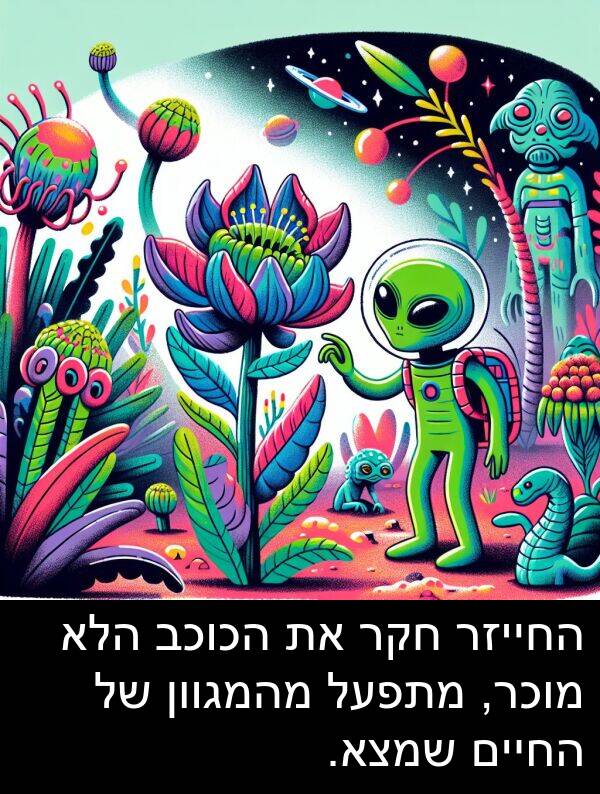 הכוכב: החייזר חקר את הכוכב הלא מוכר, מתפעל מהמגוון של החיים שמצא.