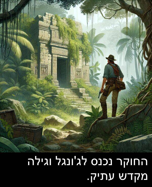 נכנס: החוקר נכנס לג'ונגל וגילה מקדש עתיק.
