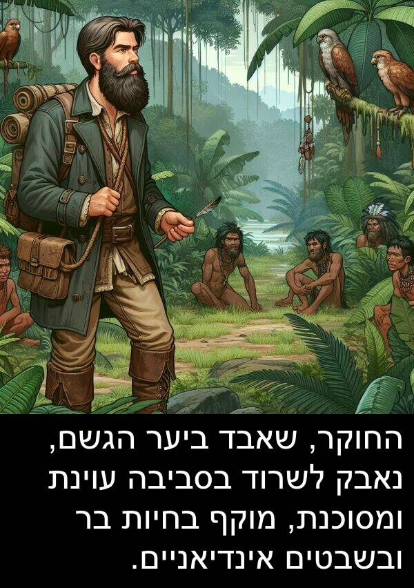 אינדיאניים: החוקר, שאבד ביער הגשם, נאבק לשרוד בסביבה עוינת ומסוכנת, מוקף בחיות בר ובשבטים אינדיאניים.