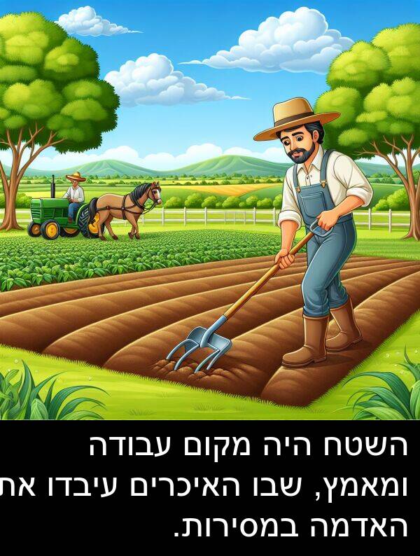 עיבדו: השטח היה מקום עבודה ומאמץ, שבו האיכרים עיבדו את האדמה במסירות.