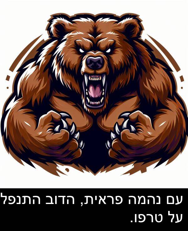 פראית: עם נהמה פראית, הדוב התנפל על טרפו.