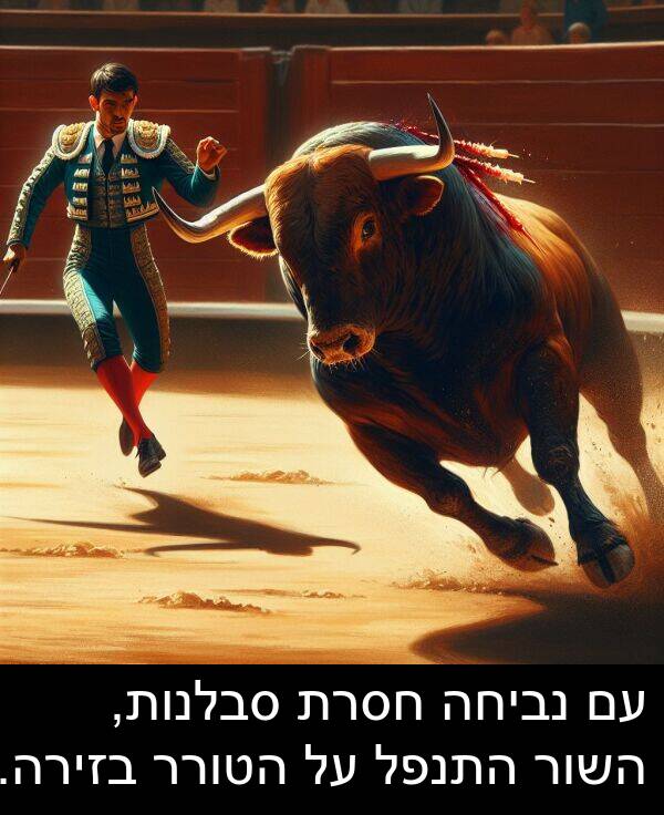 נביחה: עם נביחה חסרת סבלנות, השור התנפל על הטורר בזירה.