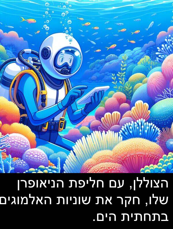 חליפת: הצוללן, עם חליפת הניאופרן שלו, חקר את שוניות האלמוגים בתחתית הים.