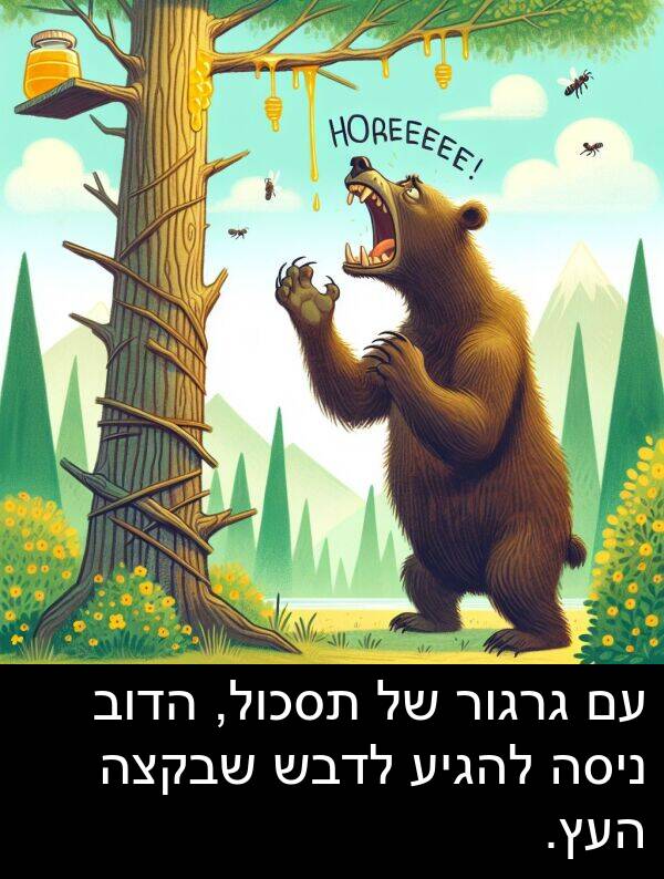 תסכול: עם גרגור של תסכול, הדוב ניסה להגיע לדבש שבקצה העץ.