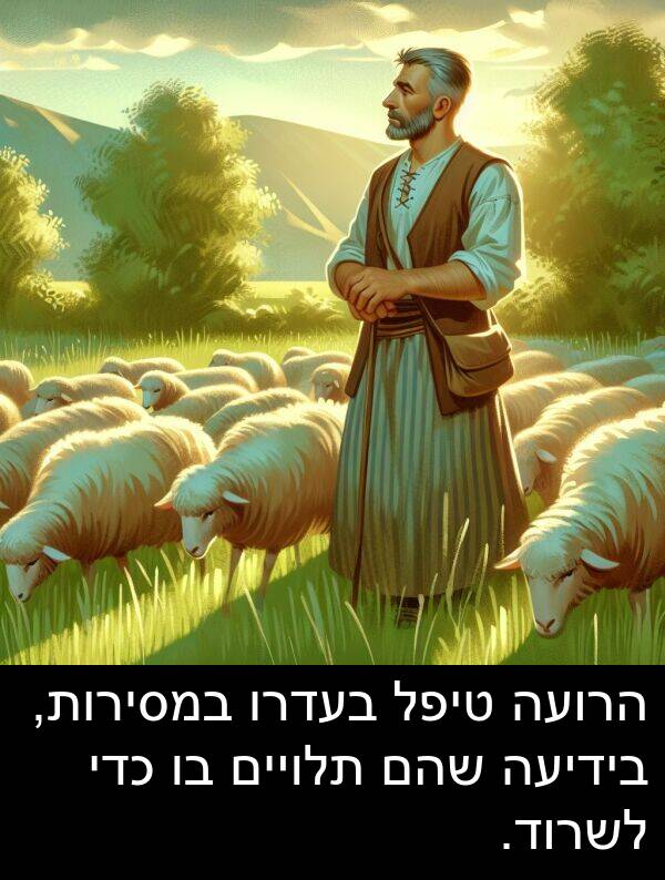 טיפל: הרועה טיפל בעדרו במסירות, בידיעה שהם תלויים בו כדי לשרוד.