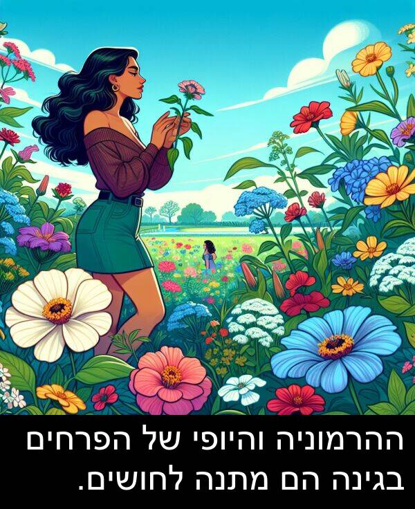 בגינה: ההרמוניה והיופי של הפרחים בגינה הם מתנה לחושים.