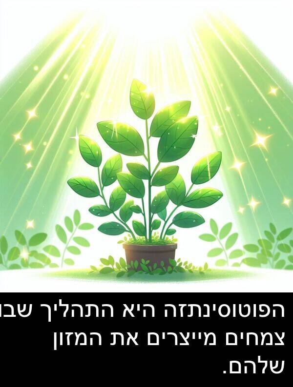 צמחים: הפוטוסינתזה היא התהליך שבו צמחים מייצרים את המזון שלהם.