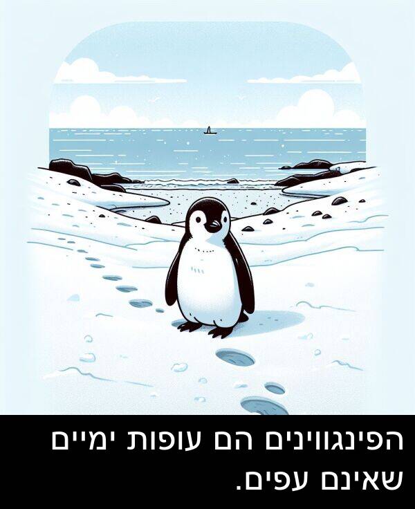 עפים: הפינגווינים הם עופות ימיים שאינם עפים.