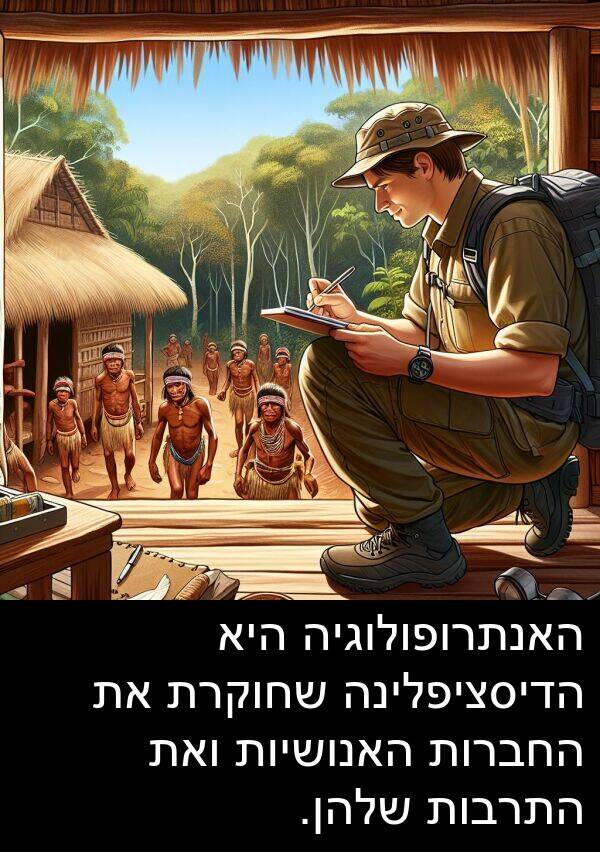 ואת: האנתרופולוגיה היא הדיסציפלינה שחוקרת את החברות האנושיות ואת התרבות שלהן.