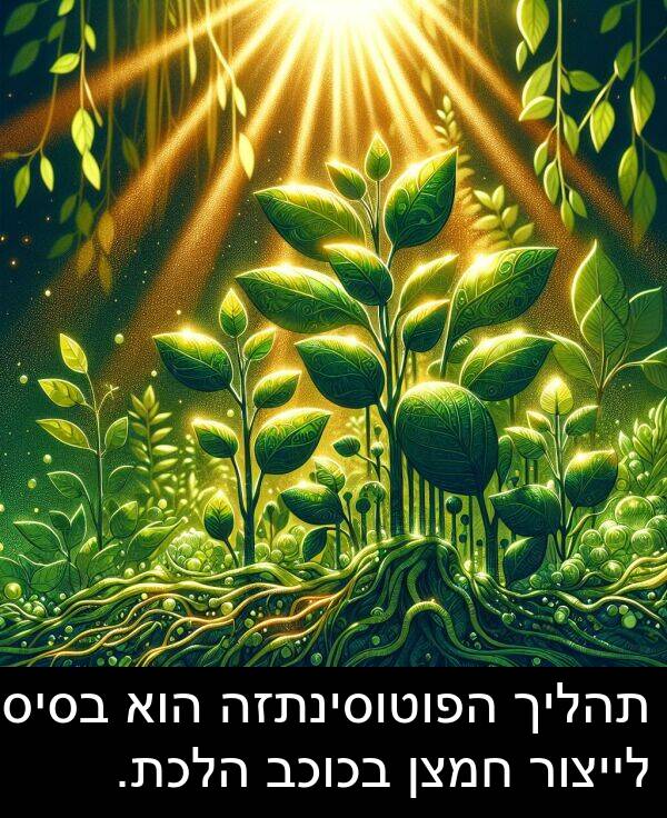 תהליך: תהליך הפוטוסינתזה הוא בסיסי לייצור חמצן בכוכב הלכת.