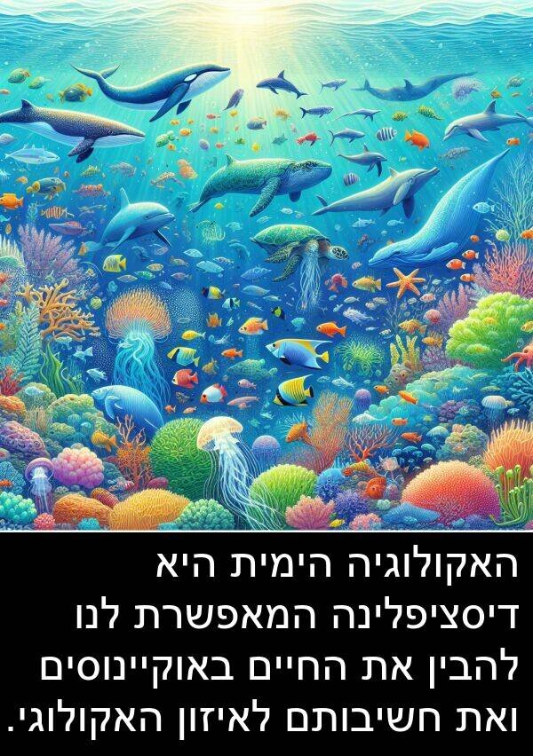באוקיינוסים: האקולוגיה הימית היא דיסציפלינה המאפשרת לנו להבין את החיים באוקיינוסים ואת חשיבותם לאיזון האקולוגי.
