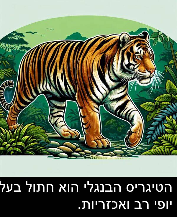 ואכזריות: הטיגריס הבנגלי הוא חתול בעל יופי רב ואכזריות.