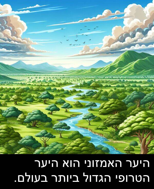 האמזוני: היער האמזוני הוא היער הטרופי הגדול ביותר בעולם.