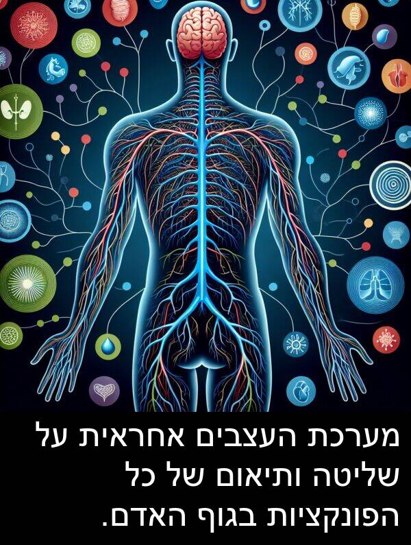 בגוף: מערכת העצבים אחראית על שליטה ותיאום של כל הפונקציות בגוף האדם.