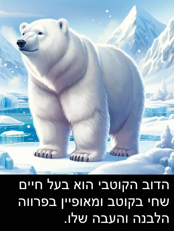 הדוב: הדוב הקוטבי הוא בעל חיים שחי בקוטב ומאופיין בפרווה הלבנה והעבה שלו.