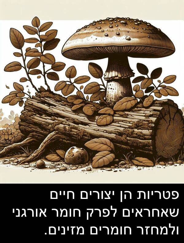פטריות: פטריות הן יצורים חיים שאחראים לפרק חומר אורגני ולמחזר חומרים מזינים.
