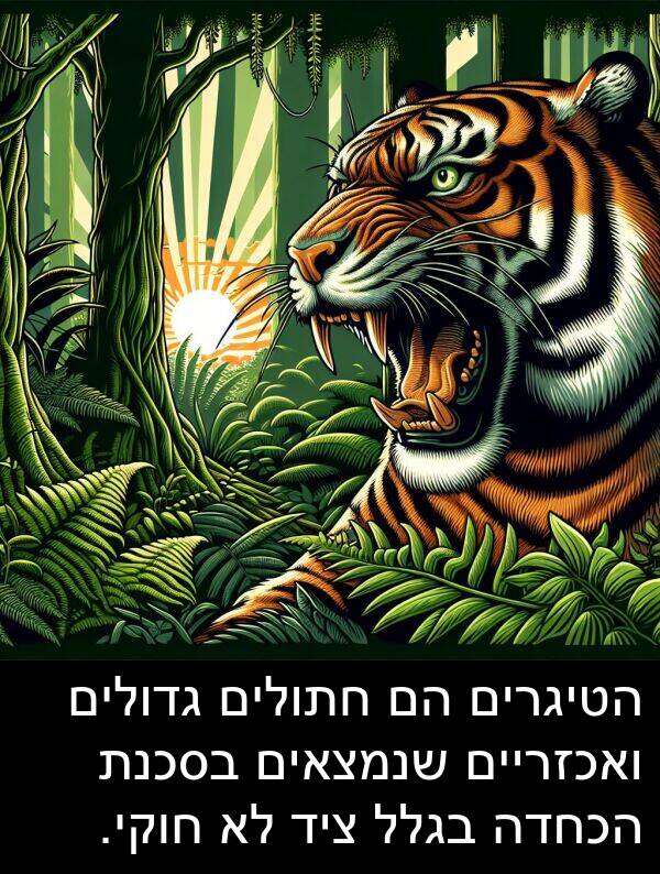 בגלל: הטיגרים הם חתולים גדולים ואכזריים שנמצאים בסכנת הכחדה בגלל ציד לא חוקי.