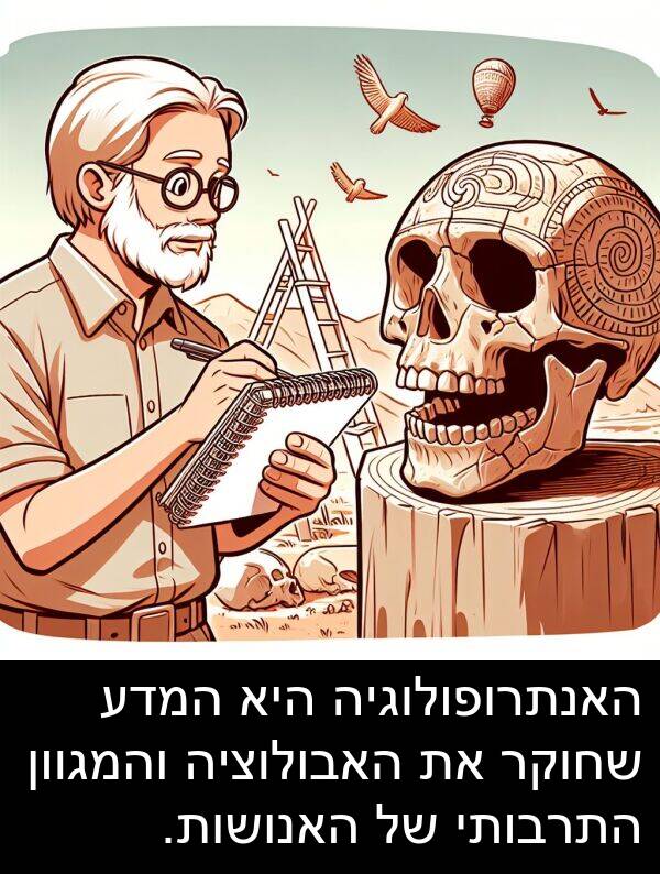 האנושות: האנתרופולוגיה היא המדע שחוקר את האבולוציה והמגוון התרבותי של האנושות.