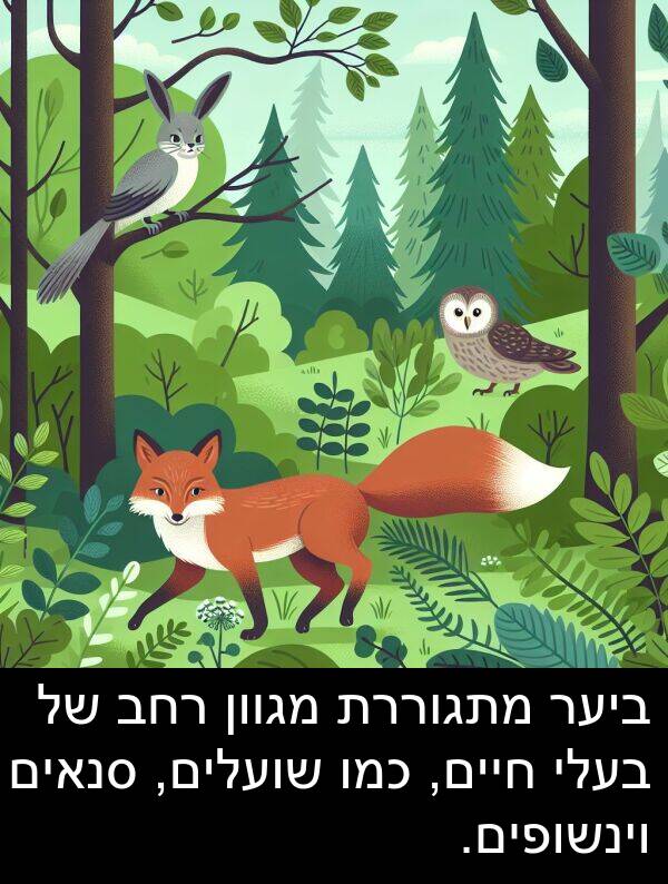 סנאים: ביער מתגוררת מגוון רחב של בעלי חיים, כמו שועלים, סנאים וינשופים.