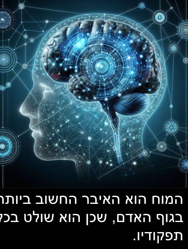 בגוף: המוח הוא האיבר החשוב ביותר בגוף האדם, שכן הוא שולט בכל תפקודיו.